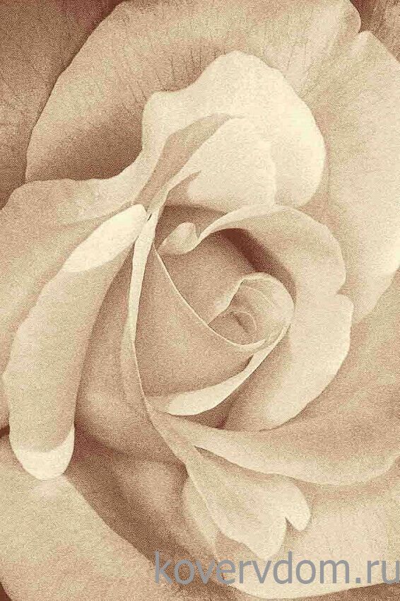 Шерстяной рельефный ковер Hunnu Relief 6A973 127S Шерстяной рельефный ковер Hunnu Relief 6A973 127S