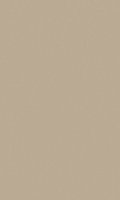 Ковер TORNADO P000 BEIGE