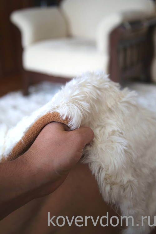 Ковер натуральный из меха Альпаки сури 30 new Ковер натуральный из меха Альпаки сури 30 new