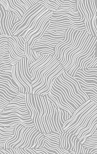 Современный ковер серый BRIZ F658 GRAY